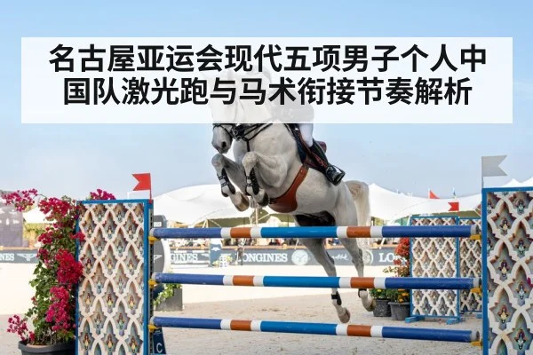 equestrian show jumping horse rider